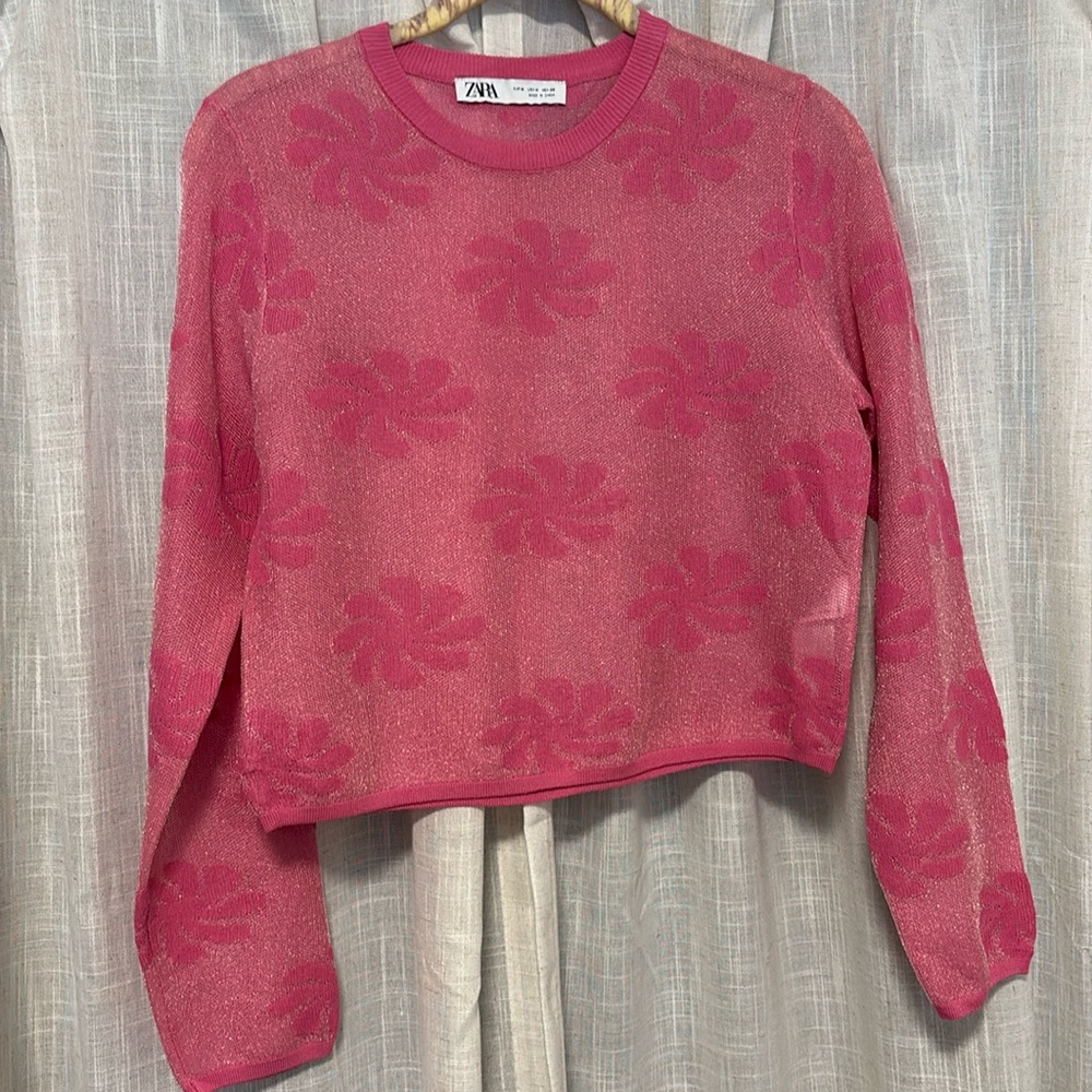 Zara Sheer Crop Sweater